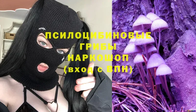 omg рабочий сайт  цена наркотик  Бирск  Псилоцибиновые грибы Psilocybe 